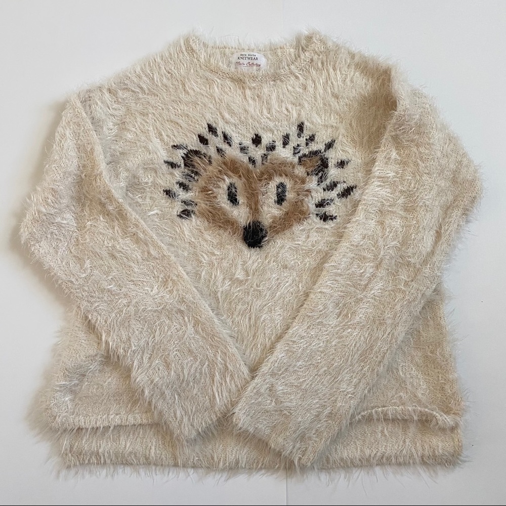 Zara Knit Sweater